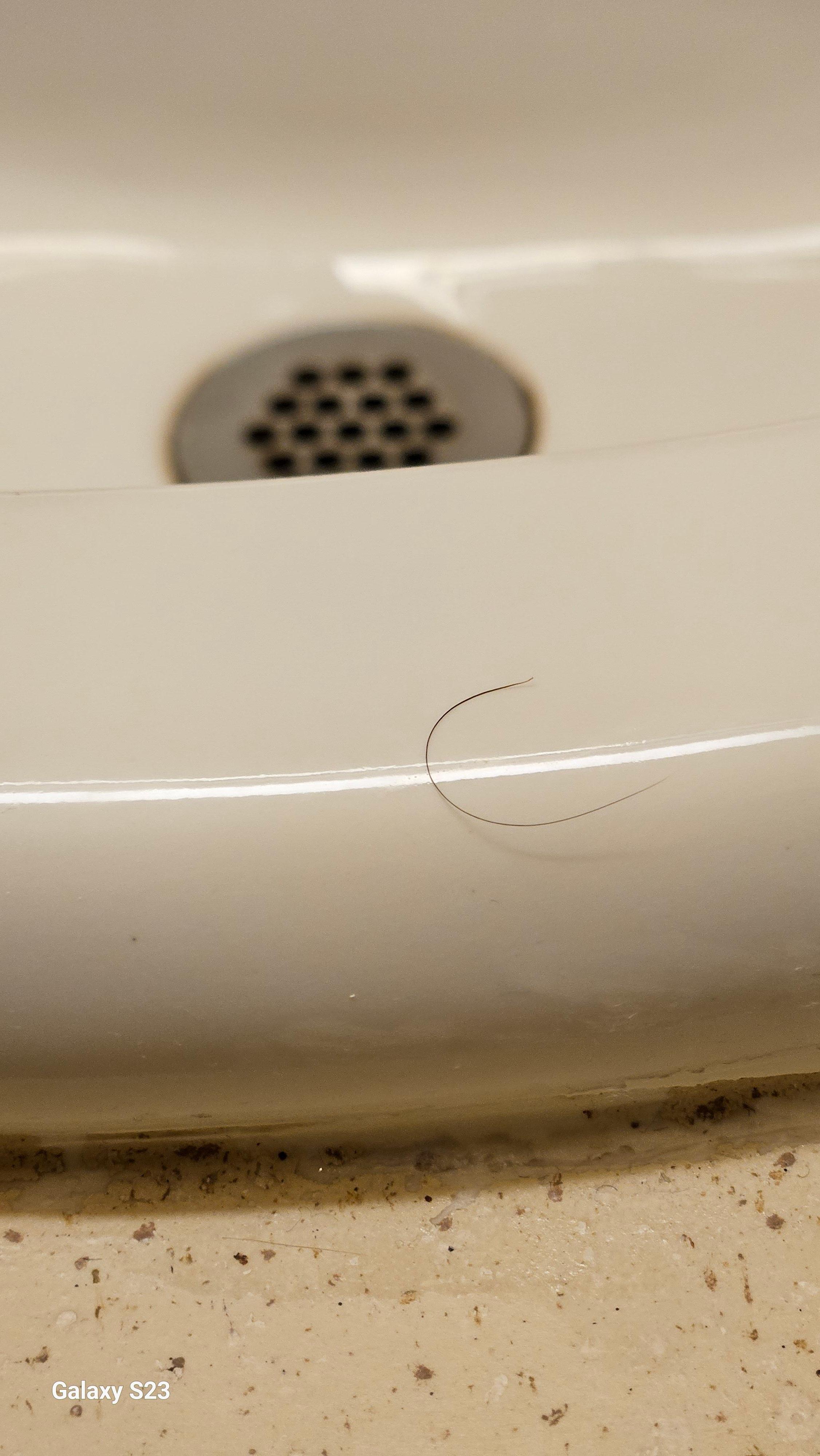 Hair on Sink