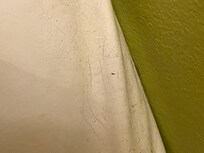 Layer of dust and hair around the bed.