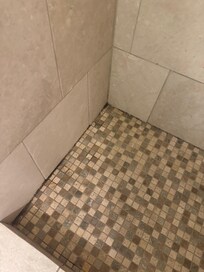 Shower with Mold