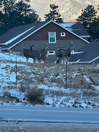 View from the living room window.