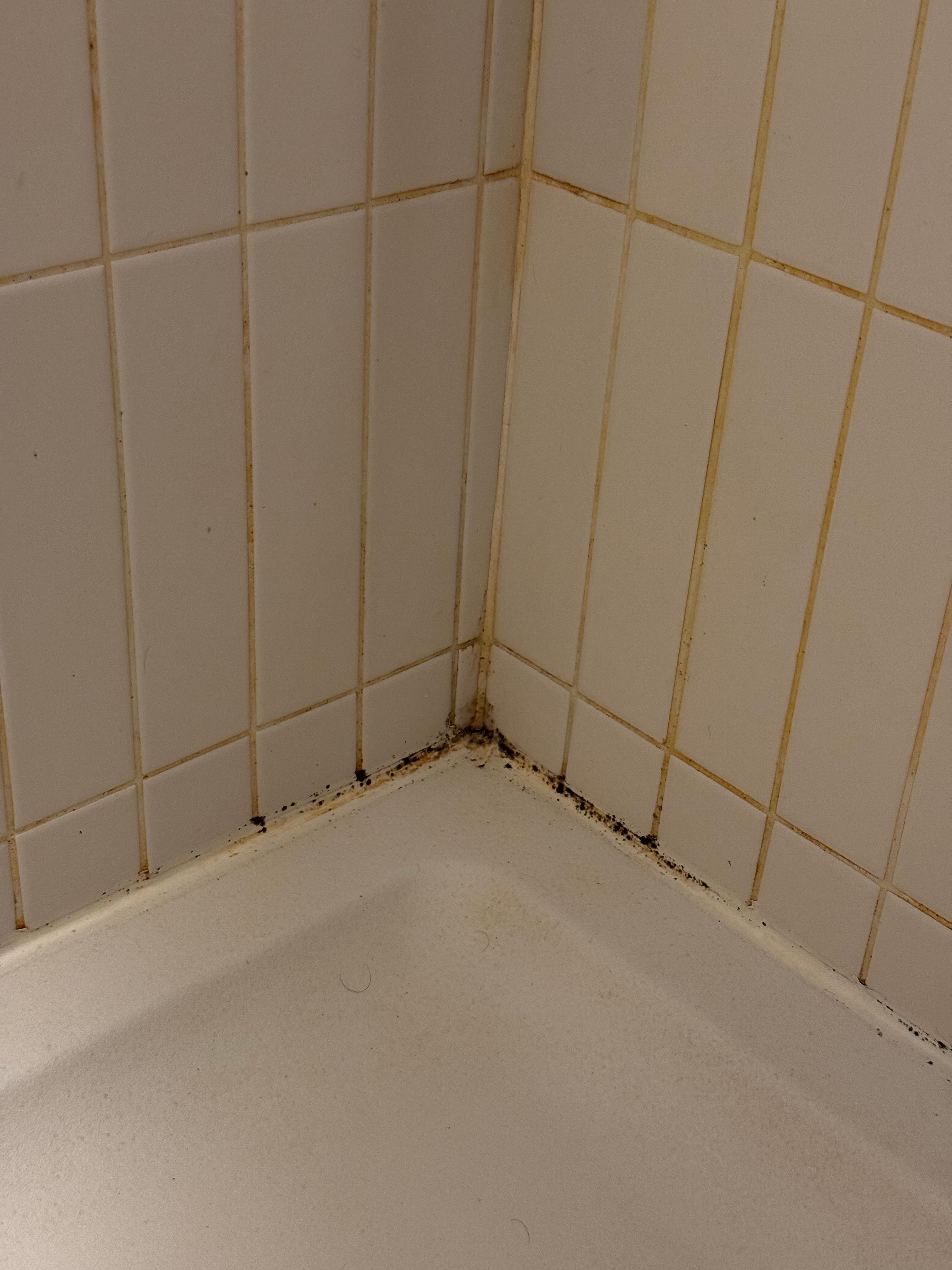 Mould in shower