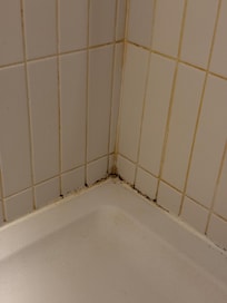 Mould in shower