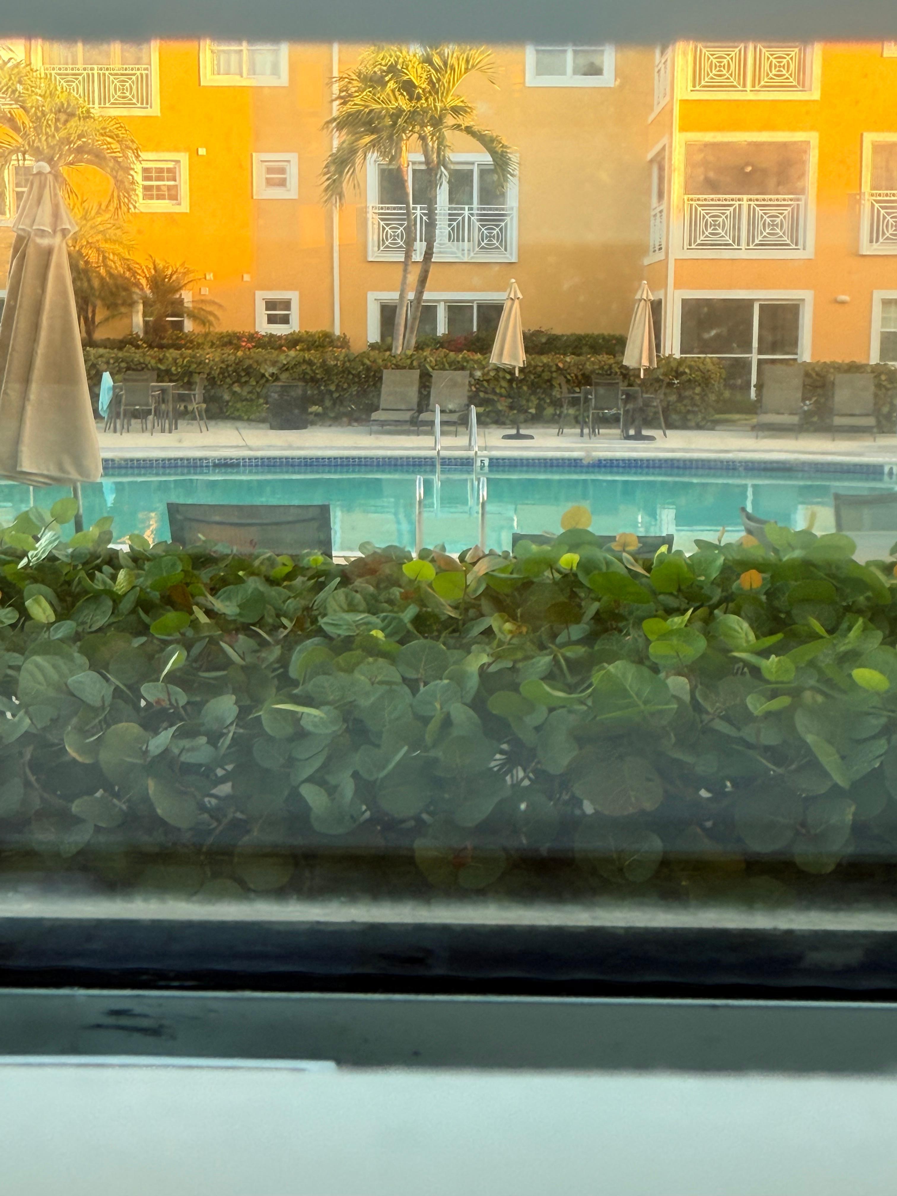 Looking out at the pool from our screened in porch