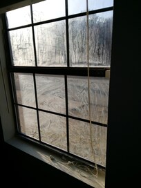 Front window