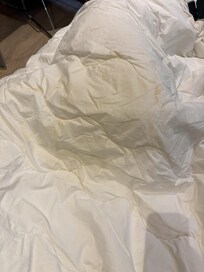 urine stains on duvet- the "clean" set I requested