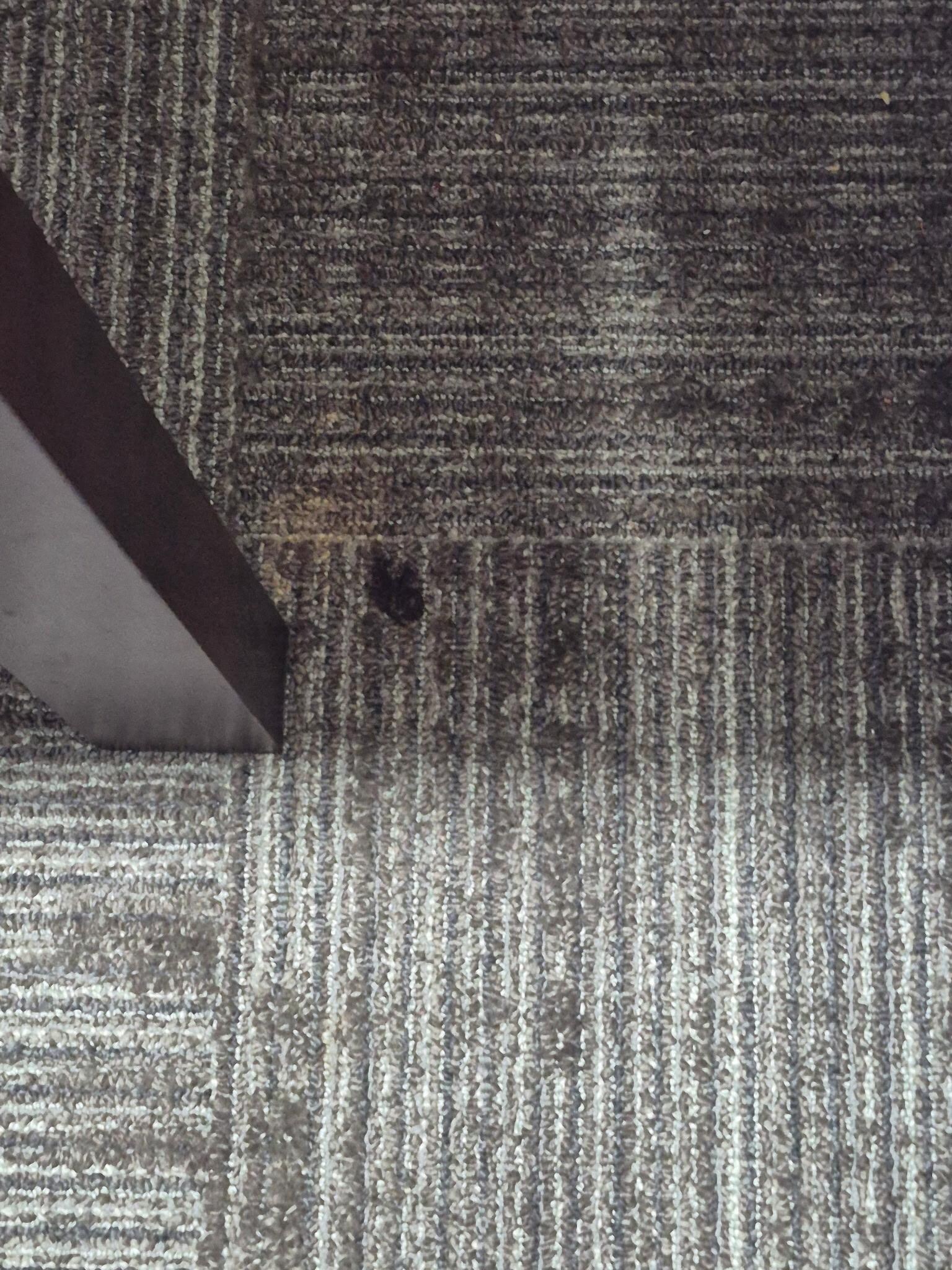 Dirty Floor