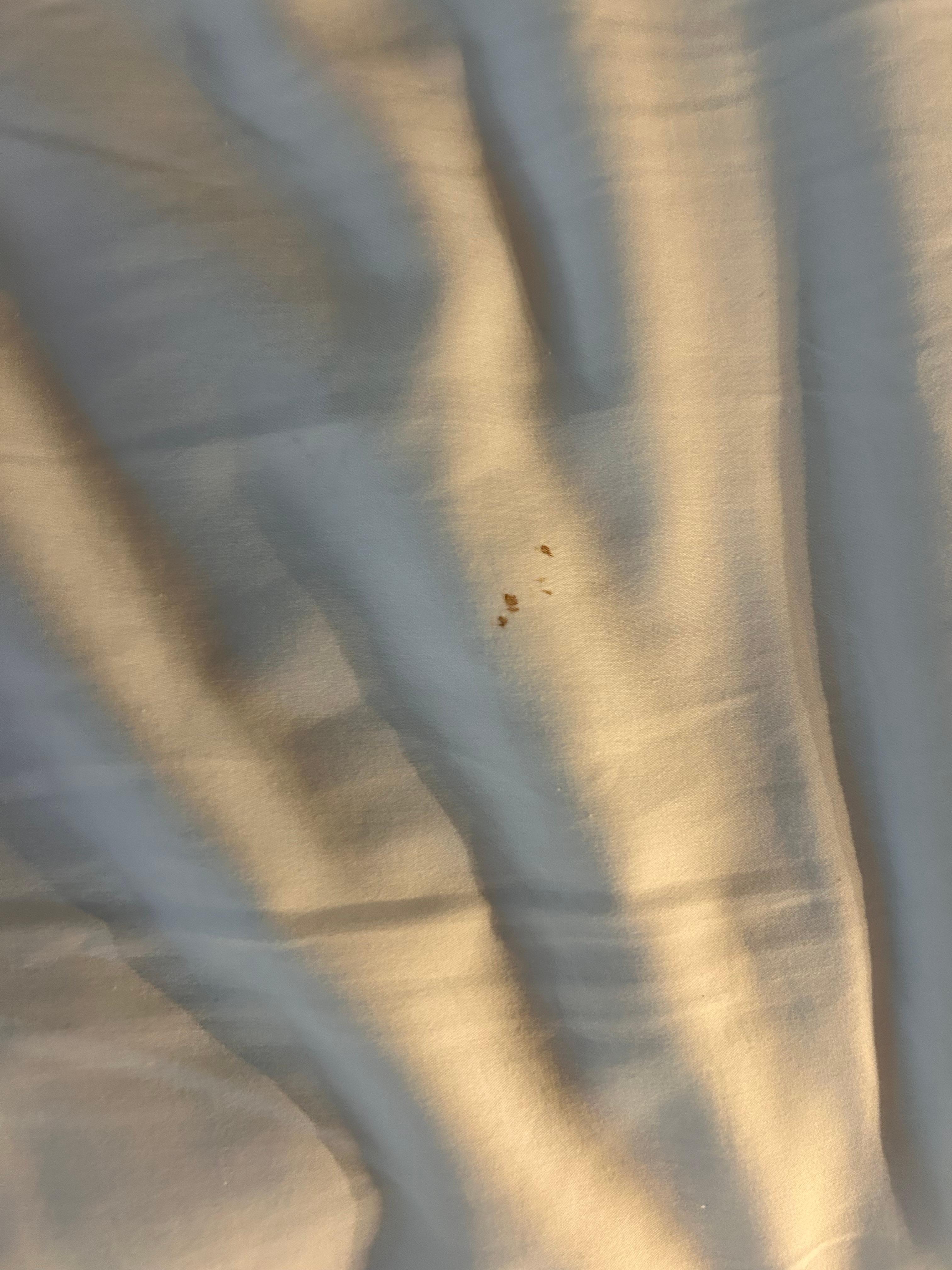 Propreté laissant à désirer 