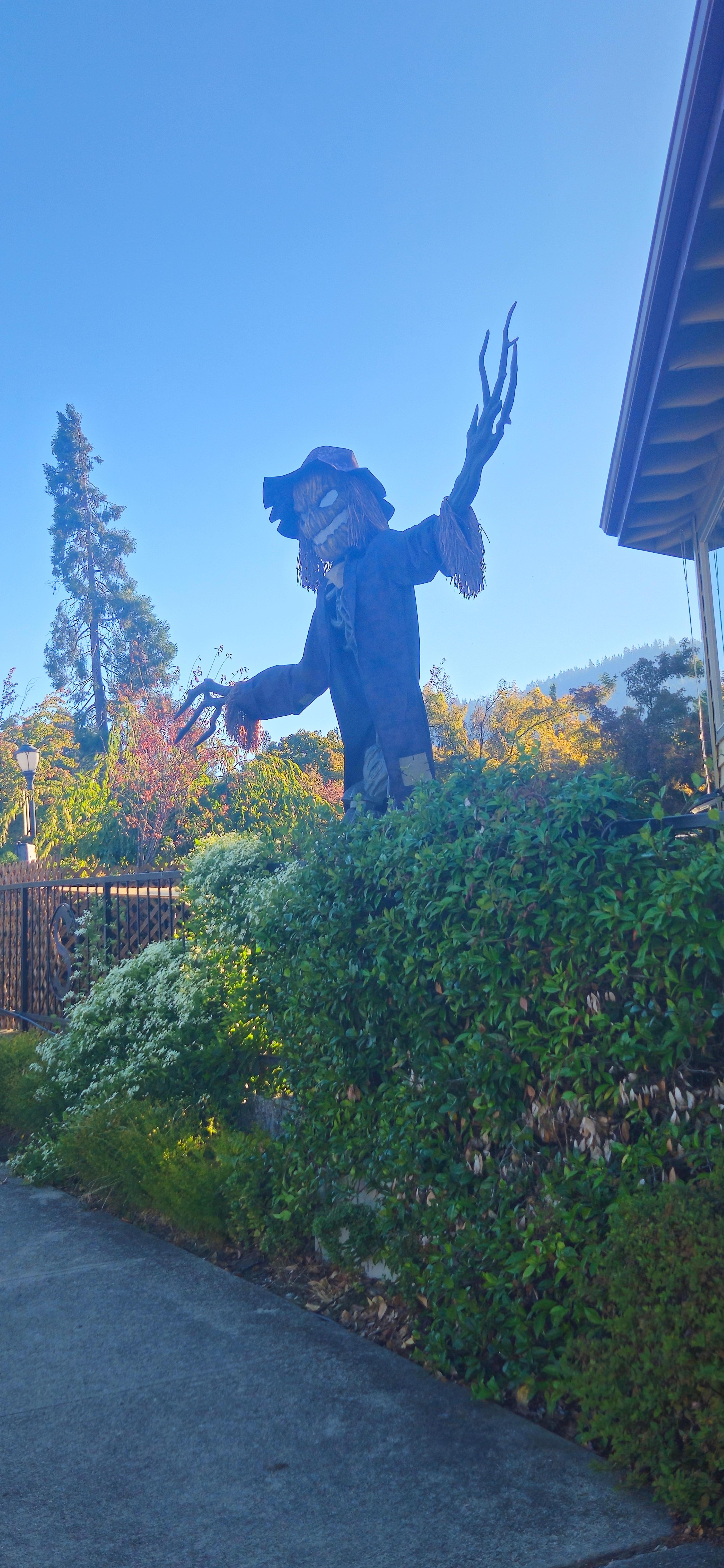 Loved all of the Halloween decorations!