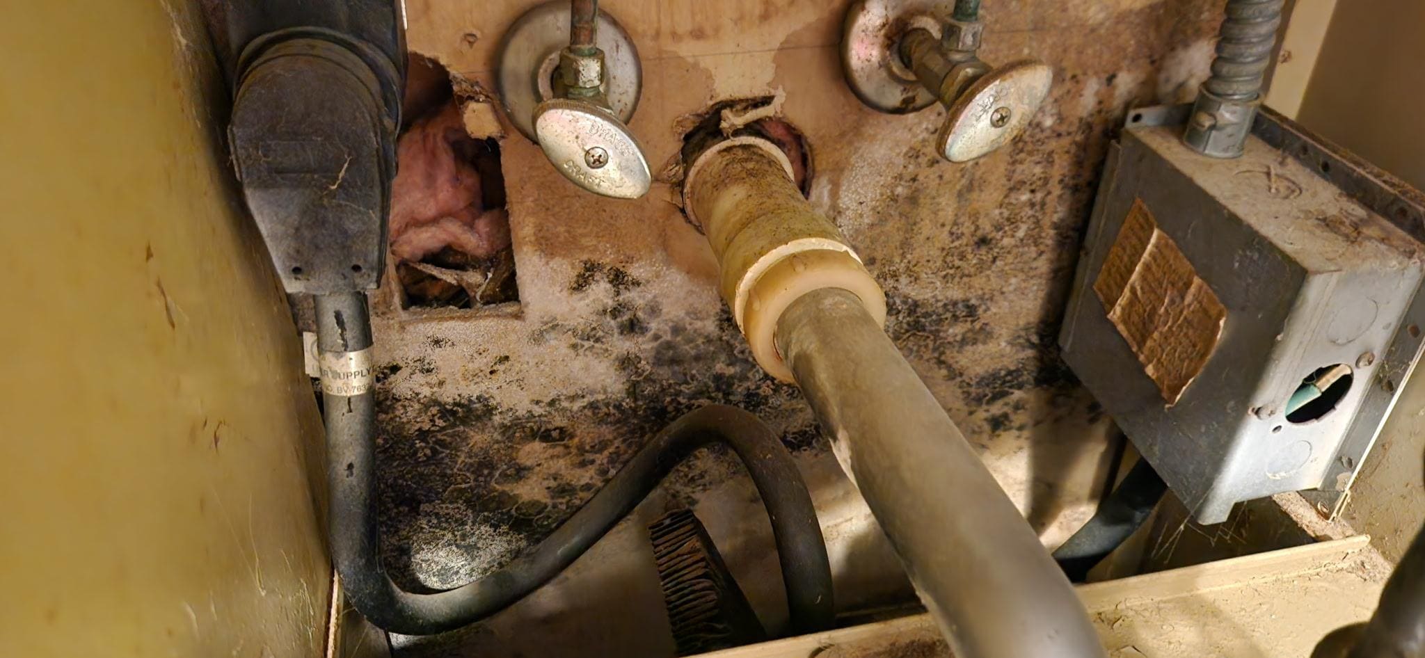 Moldy area in the kitchen 