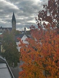 Ausblick Fenster