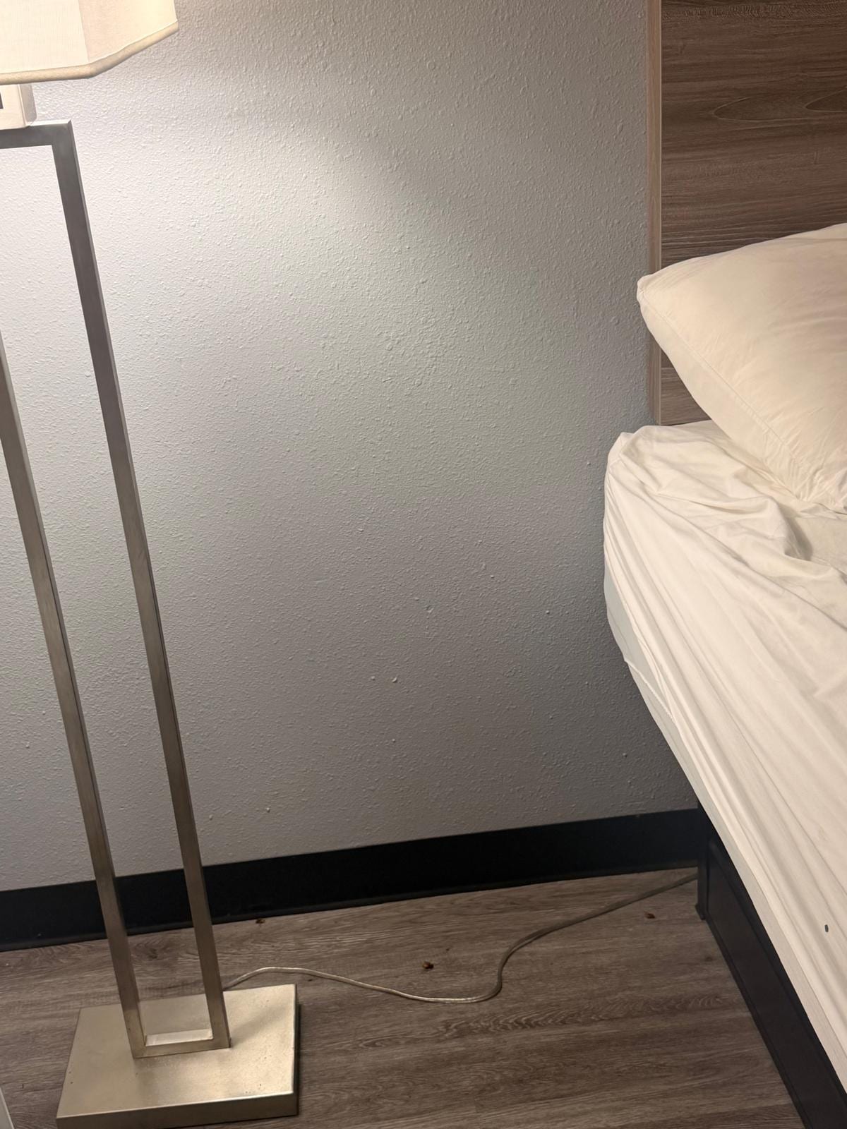 It felt like a few players from the cockroach football team were staying in the room with us.