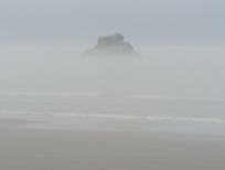 Foggy morning from the living room.