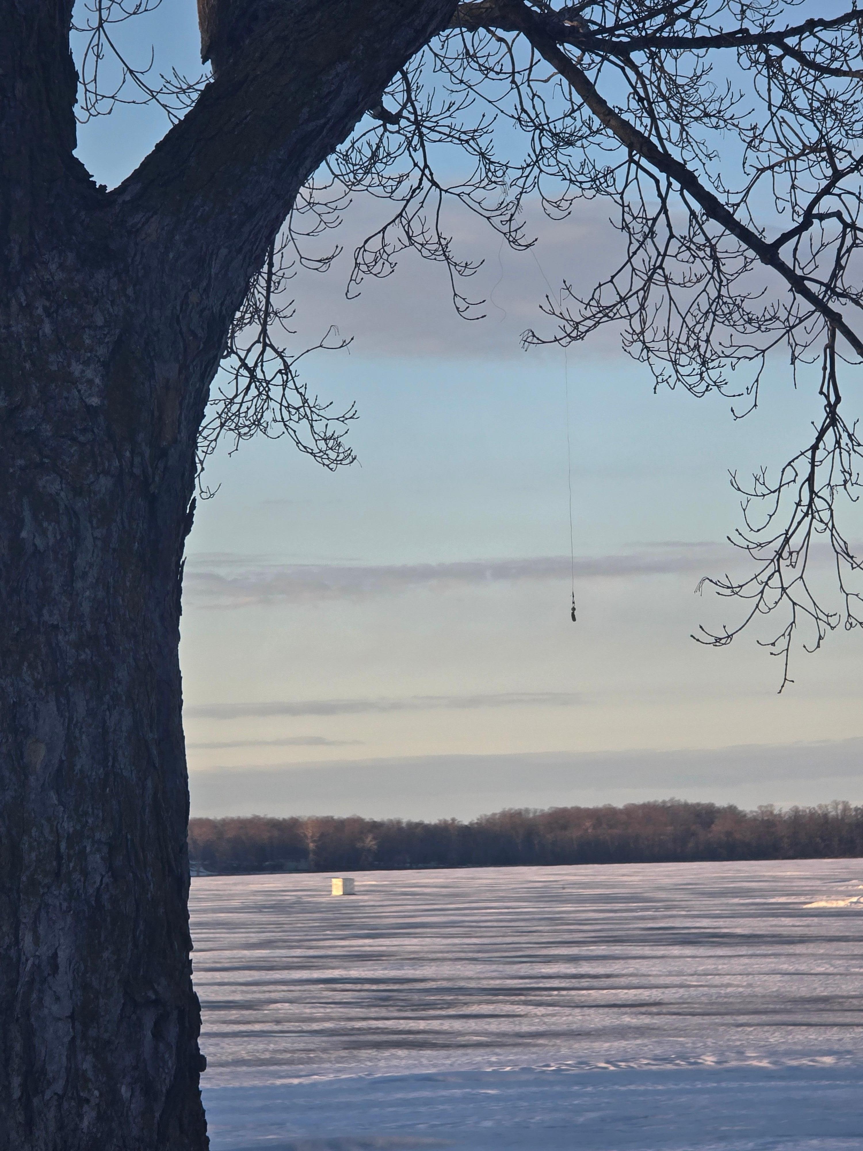 If you look close, there is a fishing line and hook hanging from a tree branch🎣
