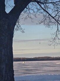 If you look close, there is a fishing line and hook hanging from a tree branch🎣