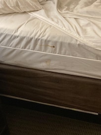 Bedding