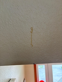Pasta on wall