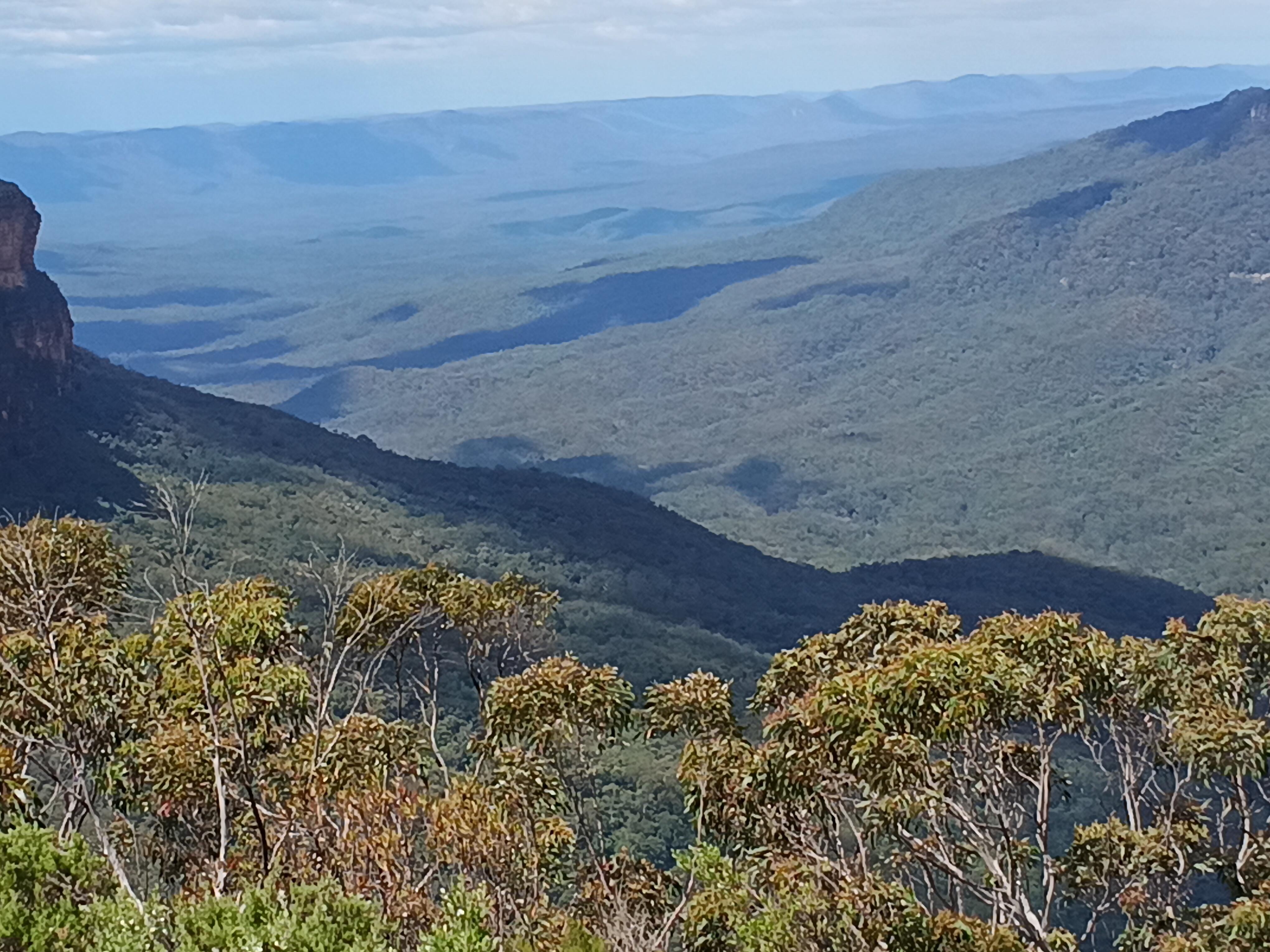 The bush walk excellent