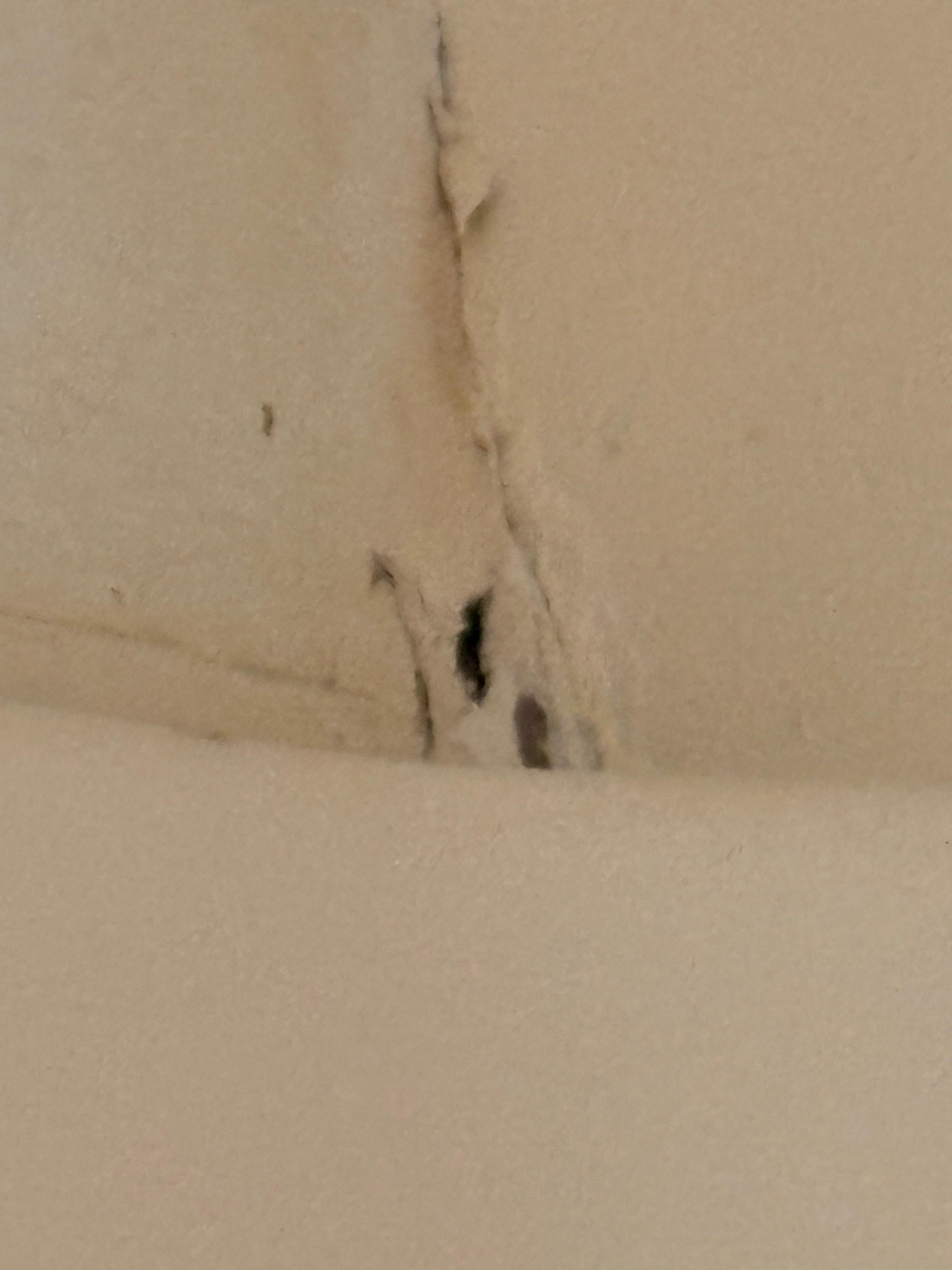 Dirty shower also shower pan cracked