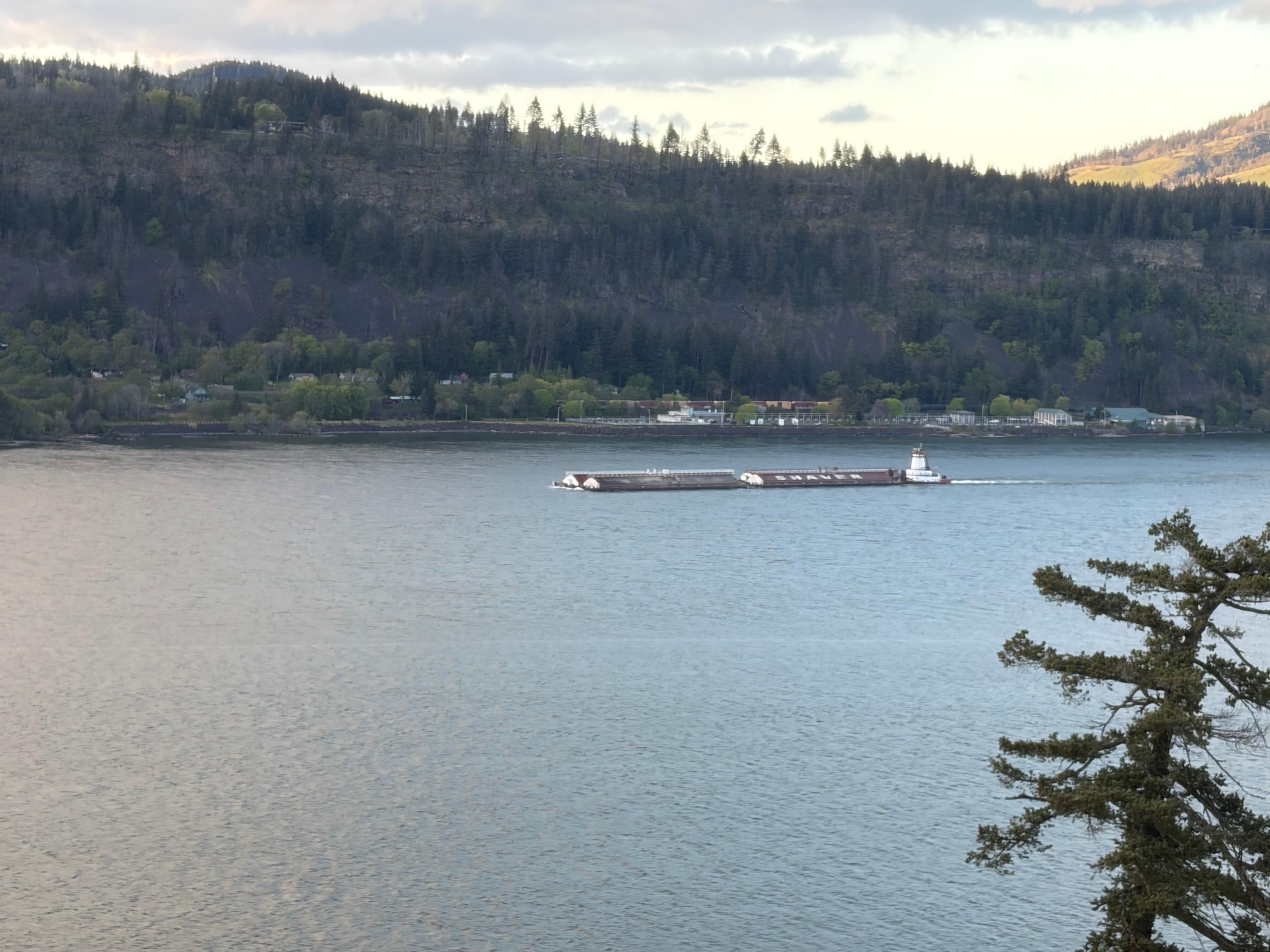 View from our window.