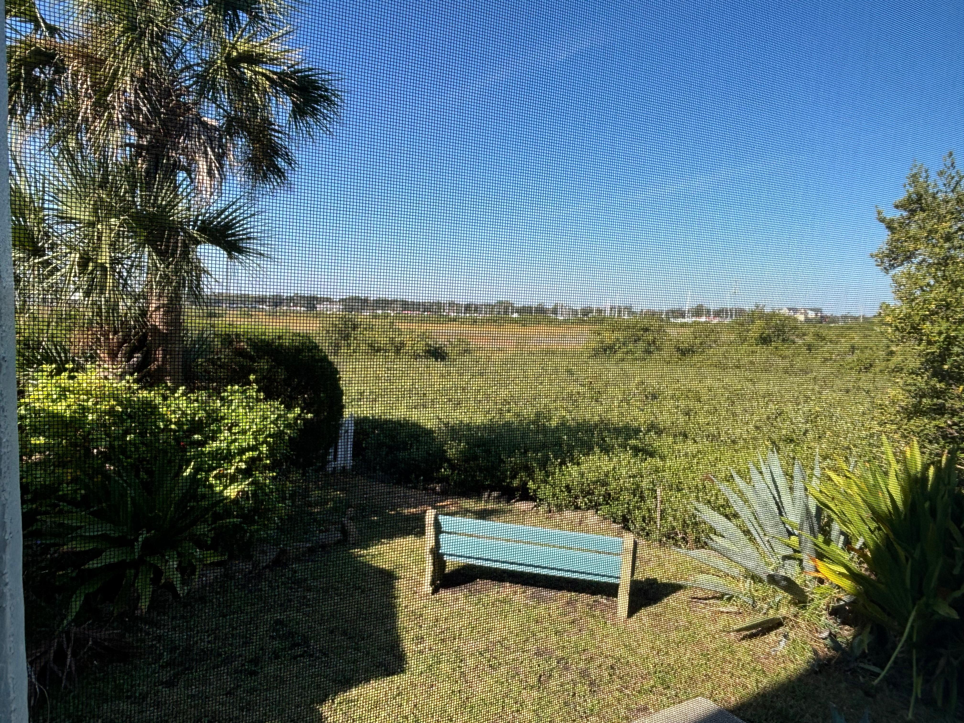 View from the backyard 