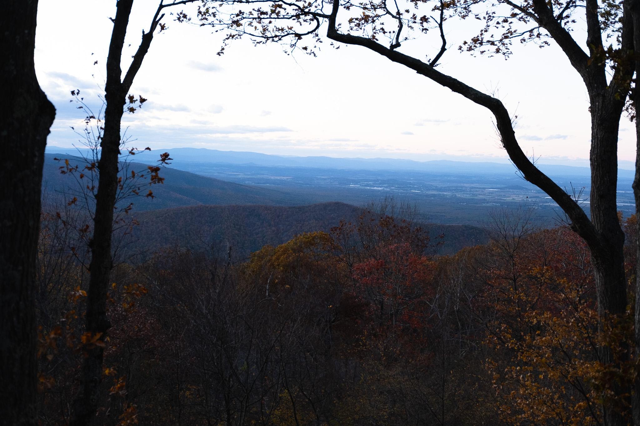 View from living room / deck