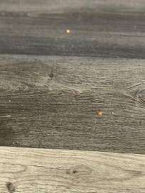 Floor chips crumbs