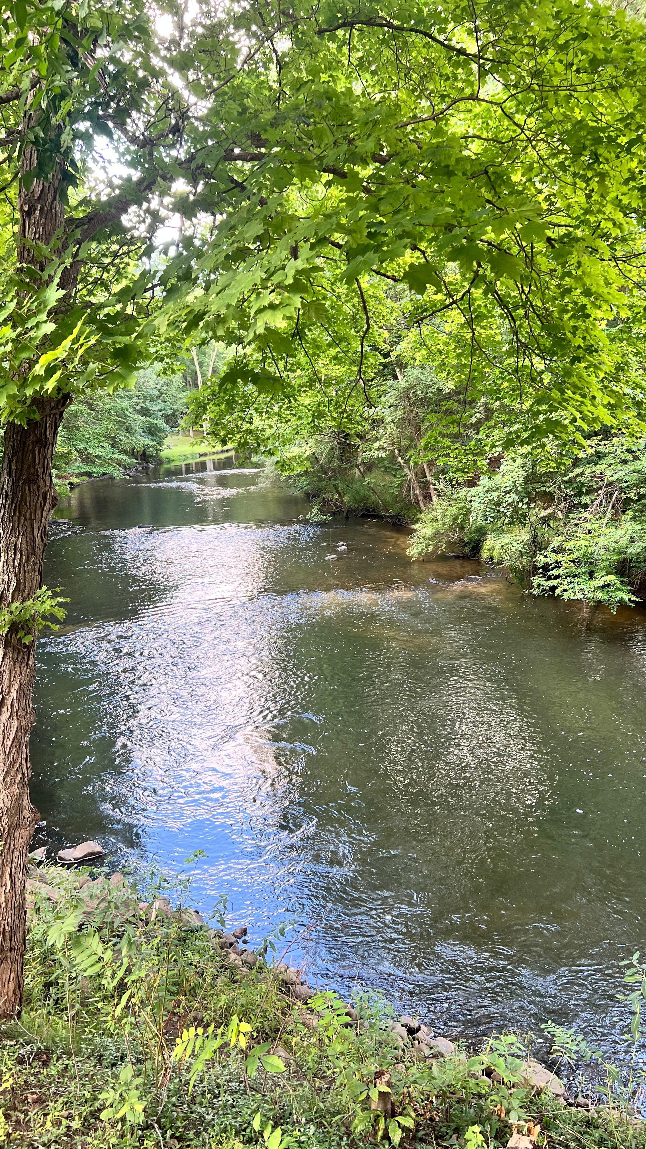 Phenomenal view from any of the three sliding glass doors off the back deck.