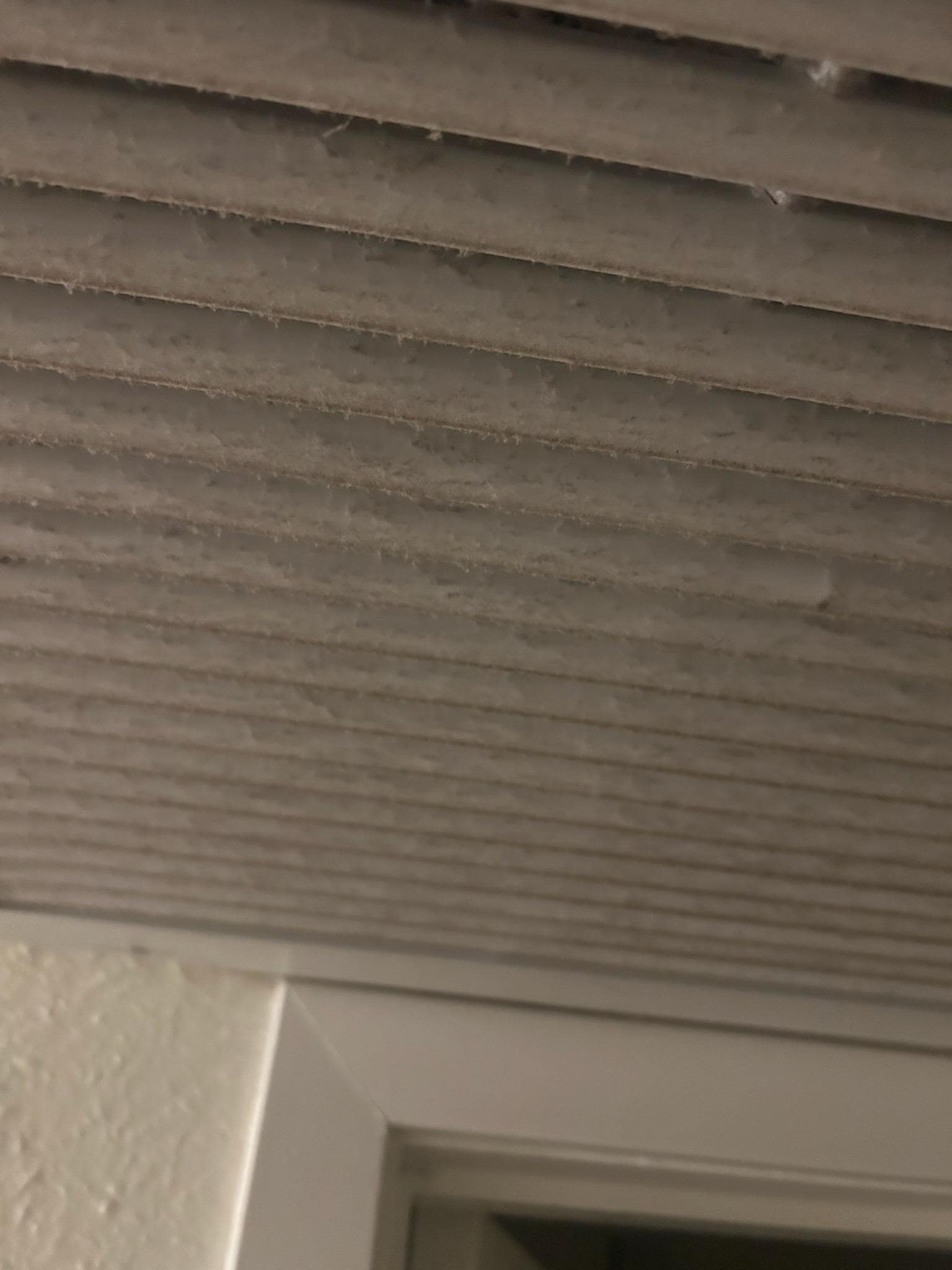 Mold and dust in only ventilation from AC