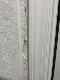 Mold on wall