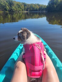 Kayaking on the lake