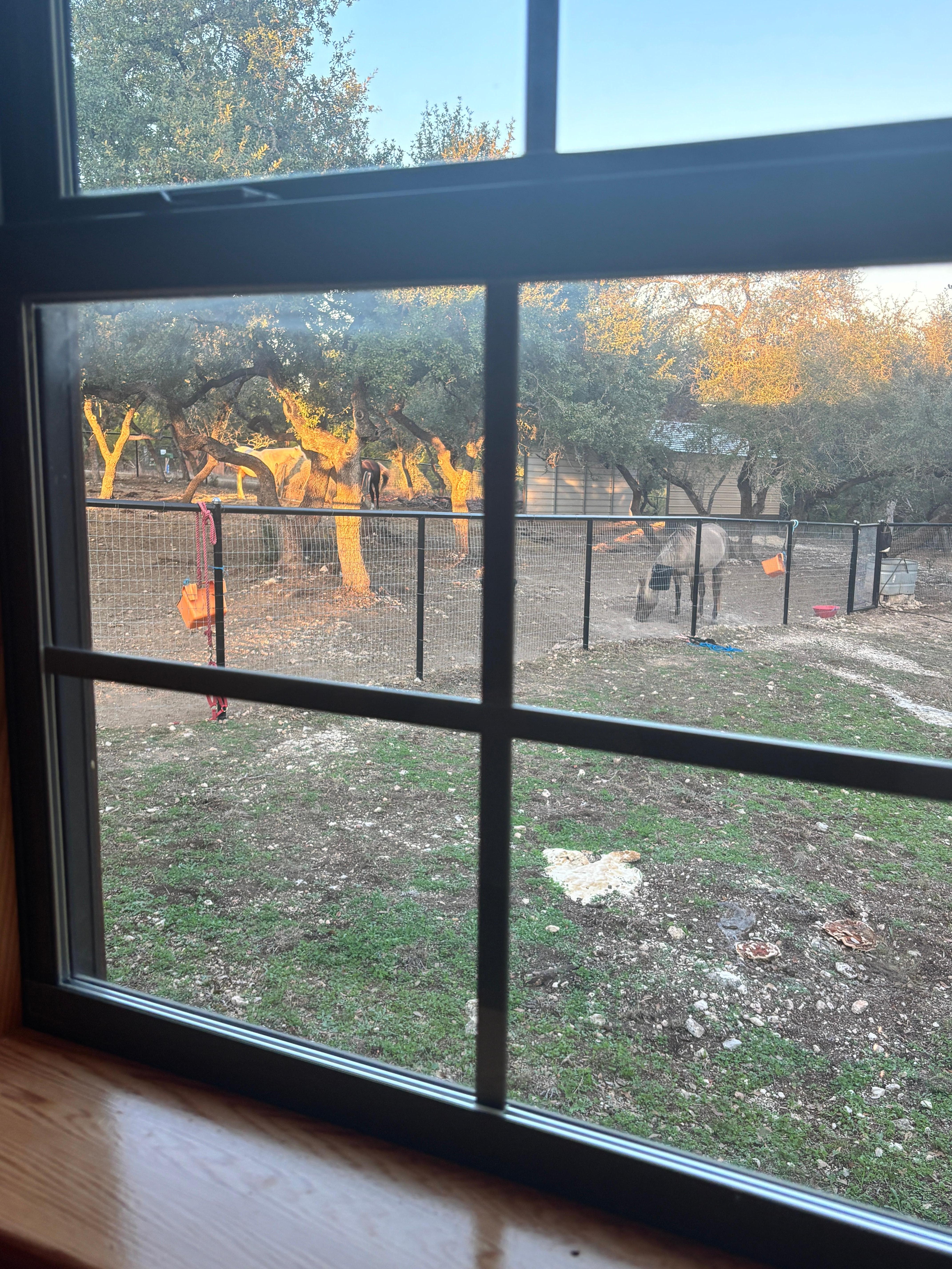 View from the kitchen window 