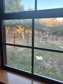 View from the kitchen window