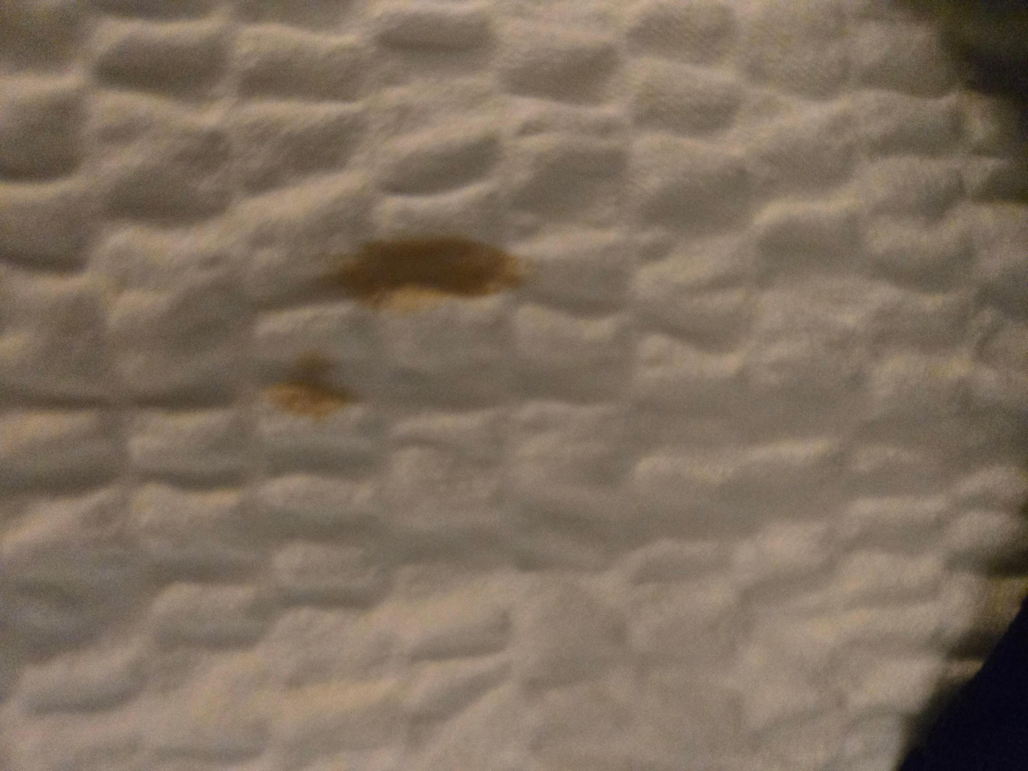 Coffee blood and other stains on sheets!