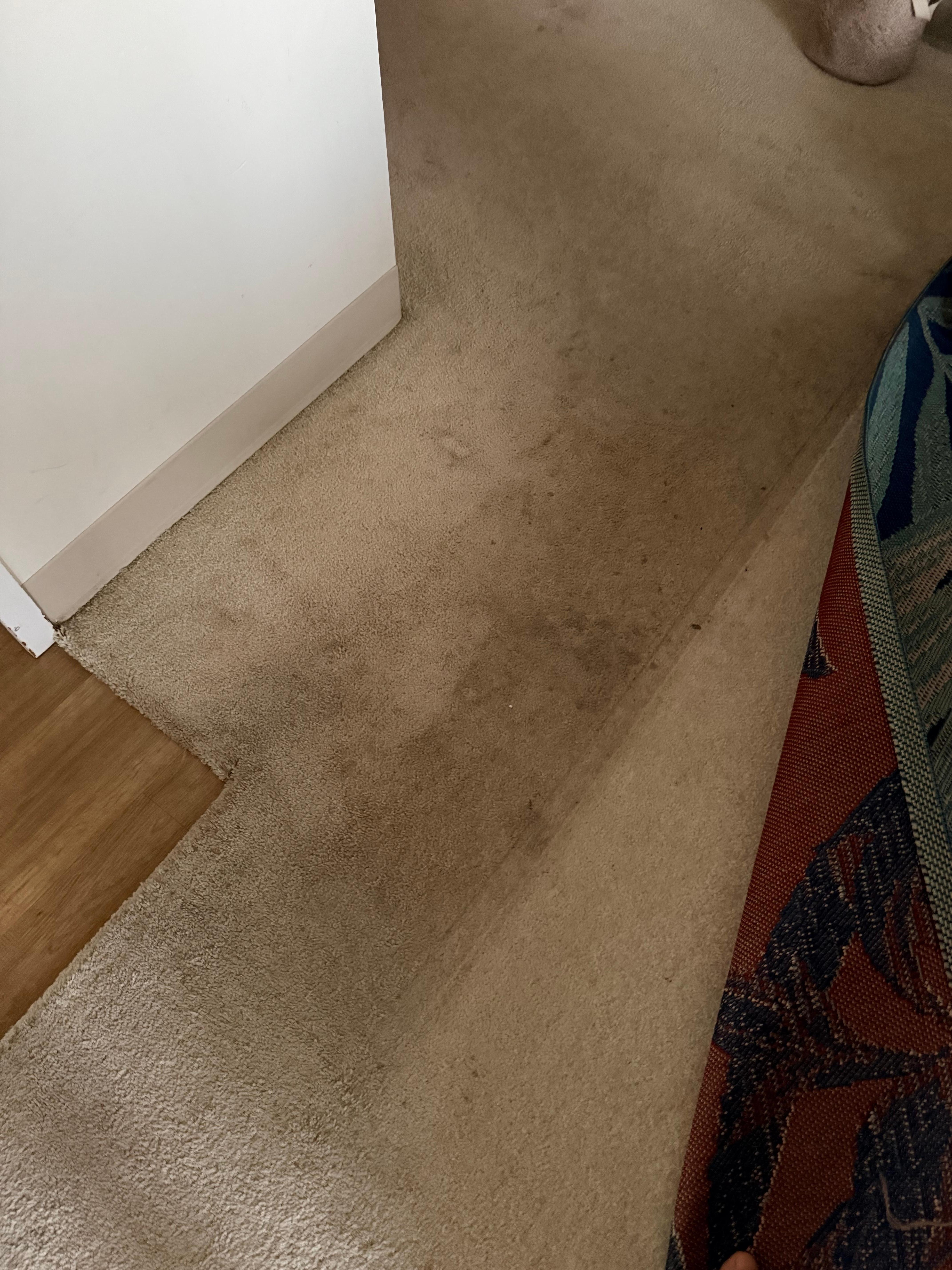 More dirt. Carpets are filthy and need replaced as you can see as I move back the rug