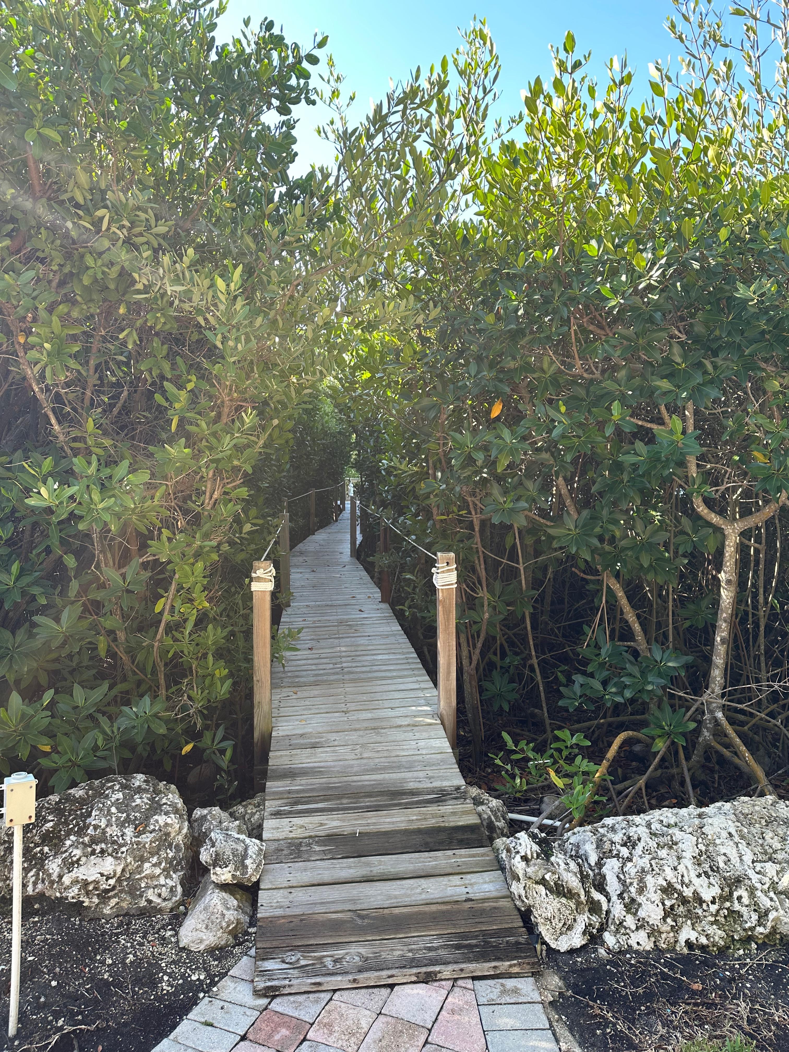 Walkway leading to dock