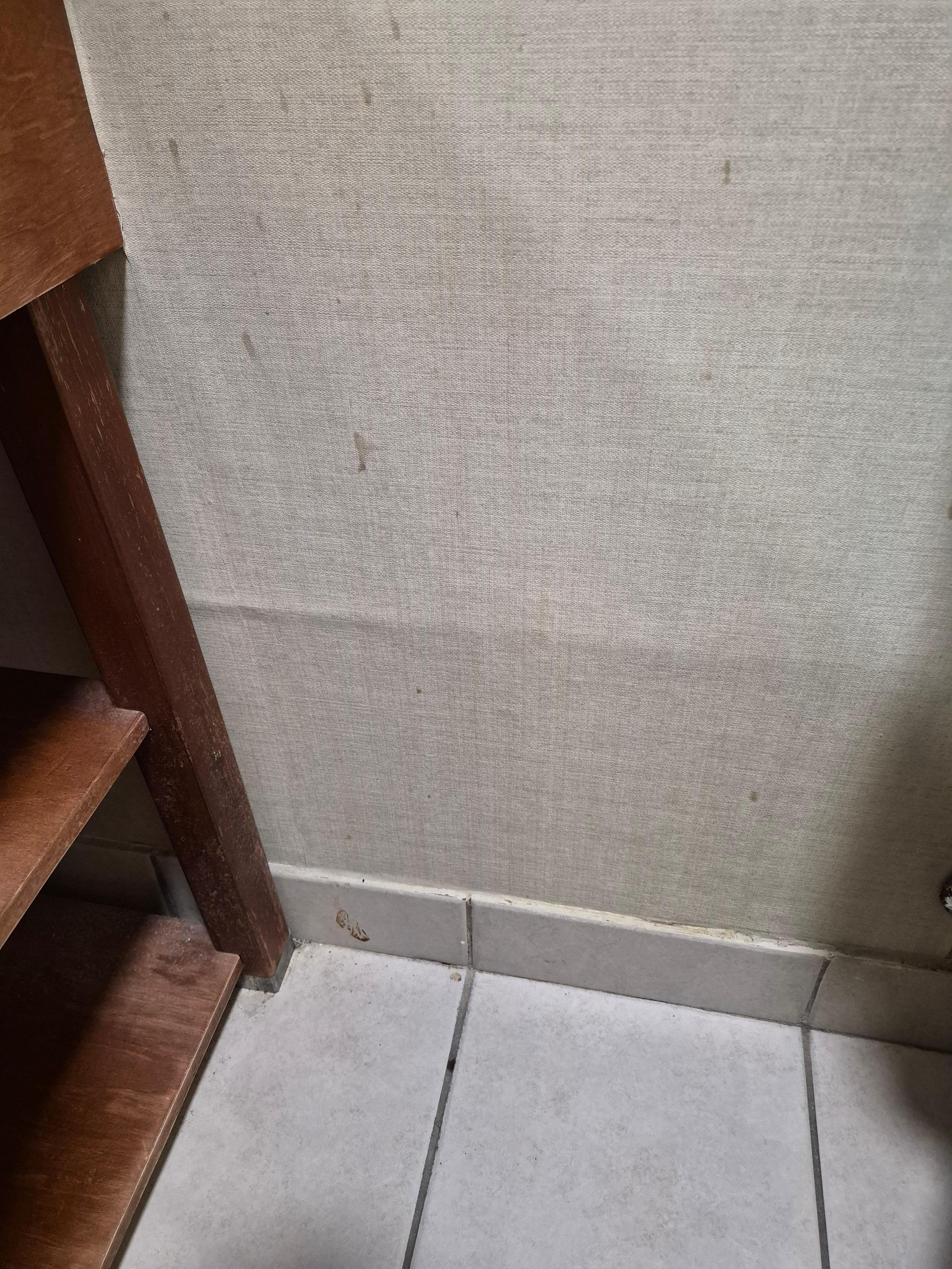 Bathroom wall slattered