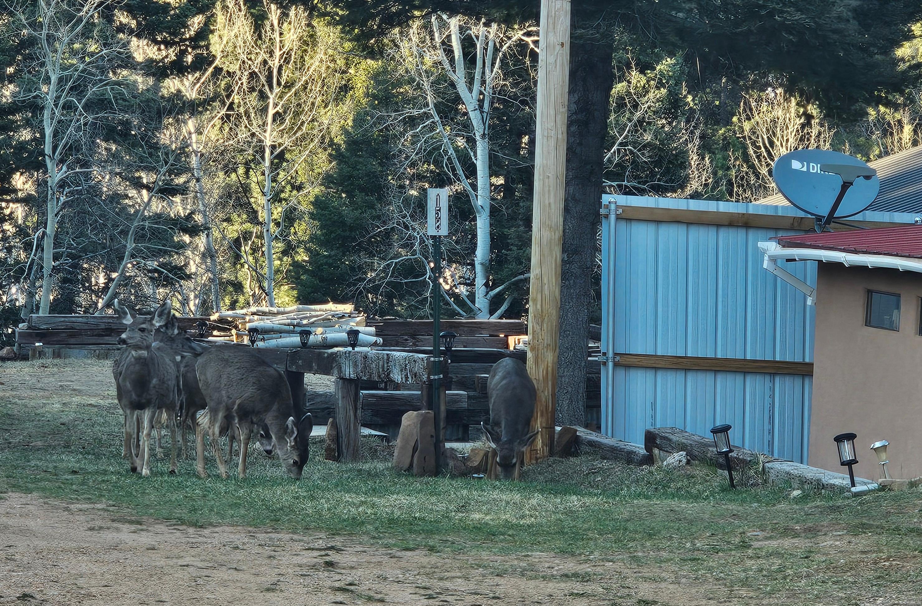 The neighborhood welcome committee 