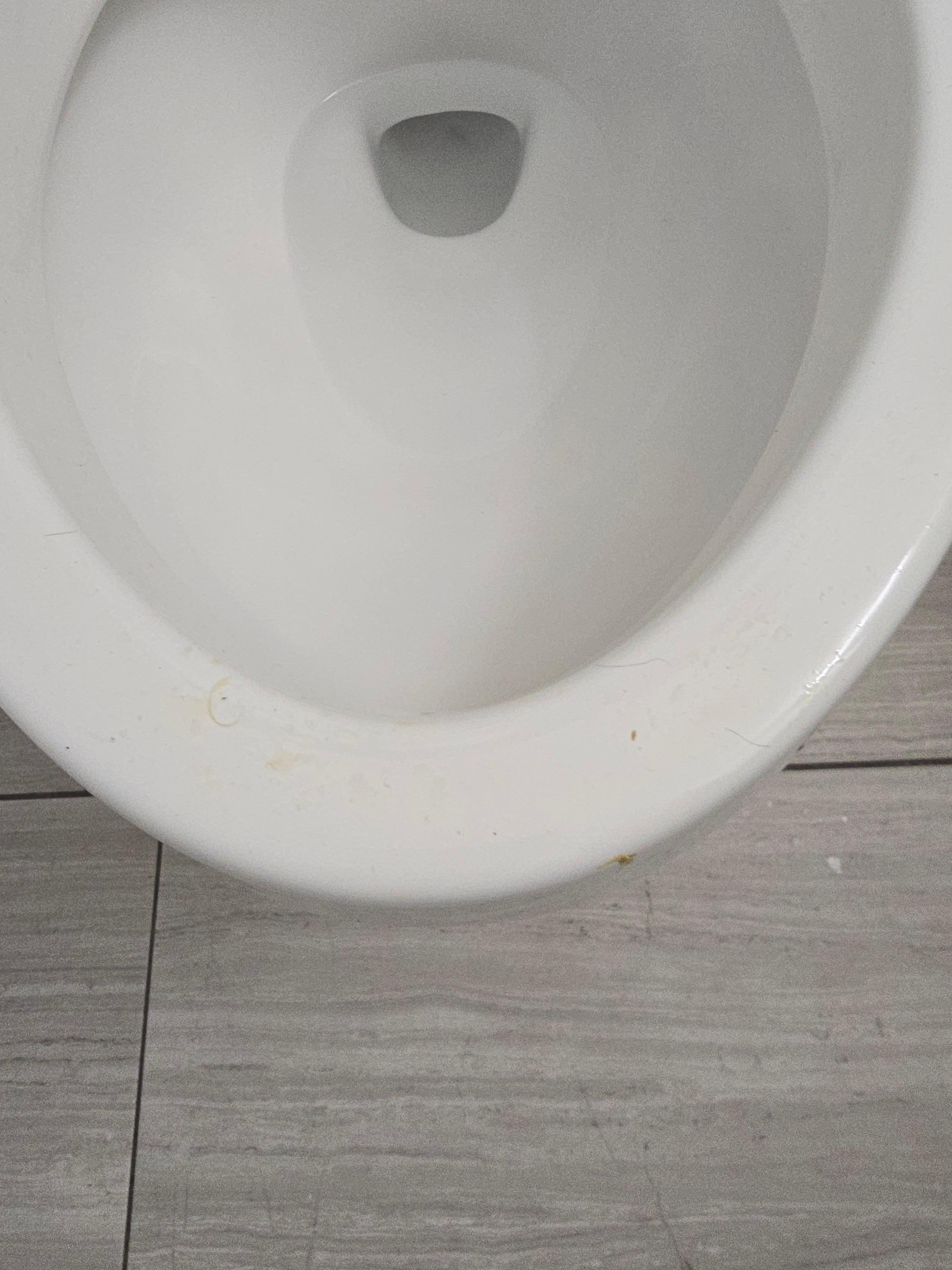 Dirty toilet