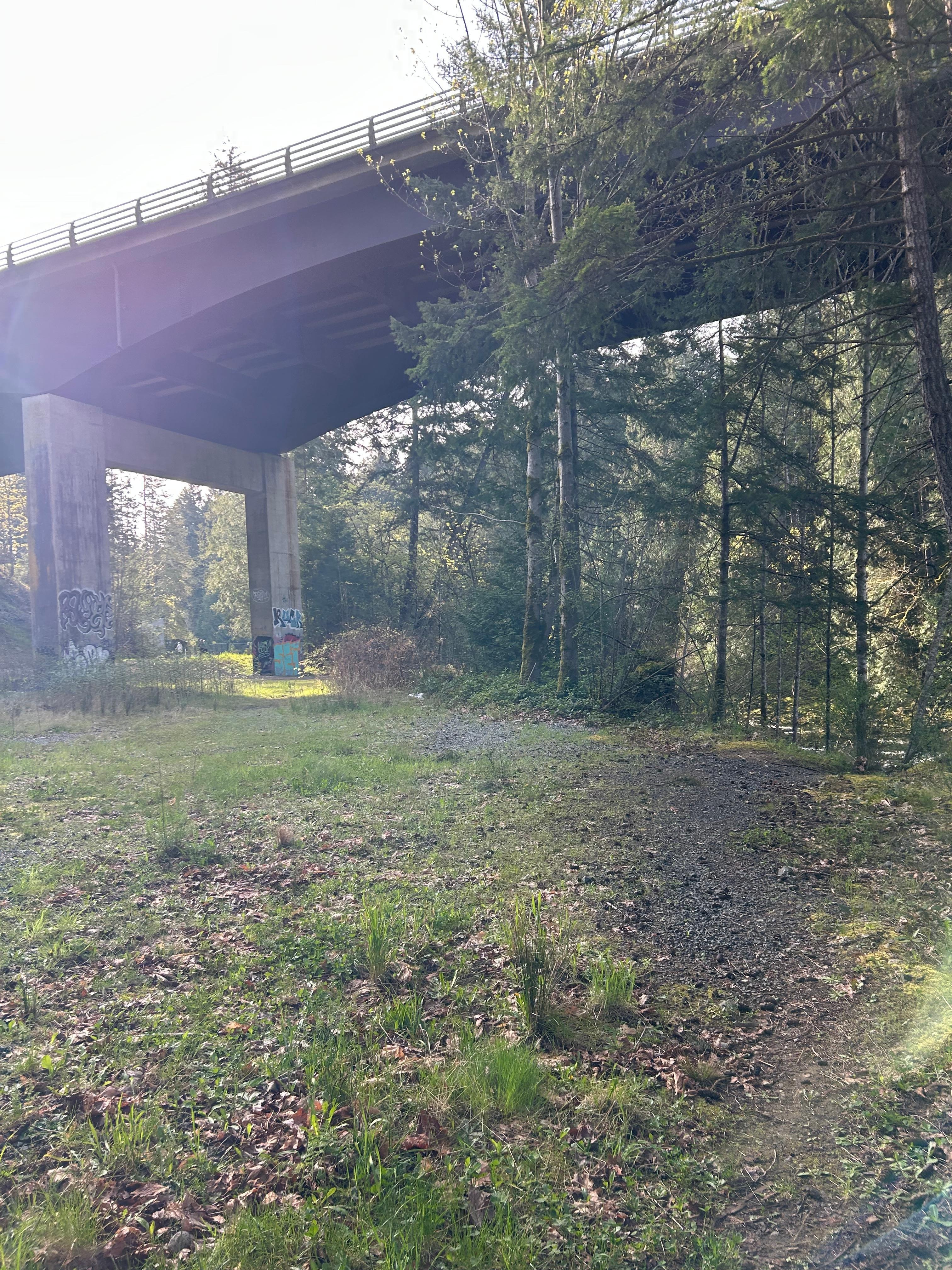 Top bridge trail 