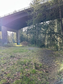Top bridge trail