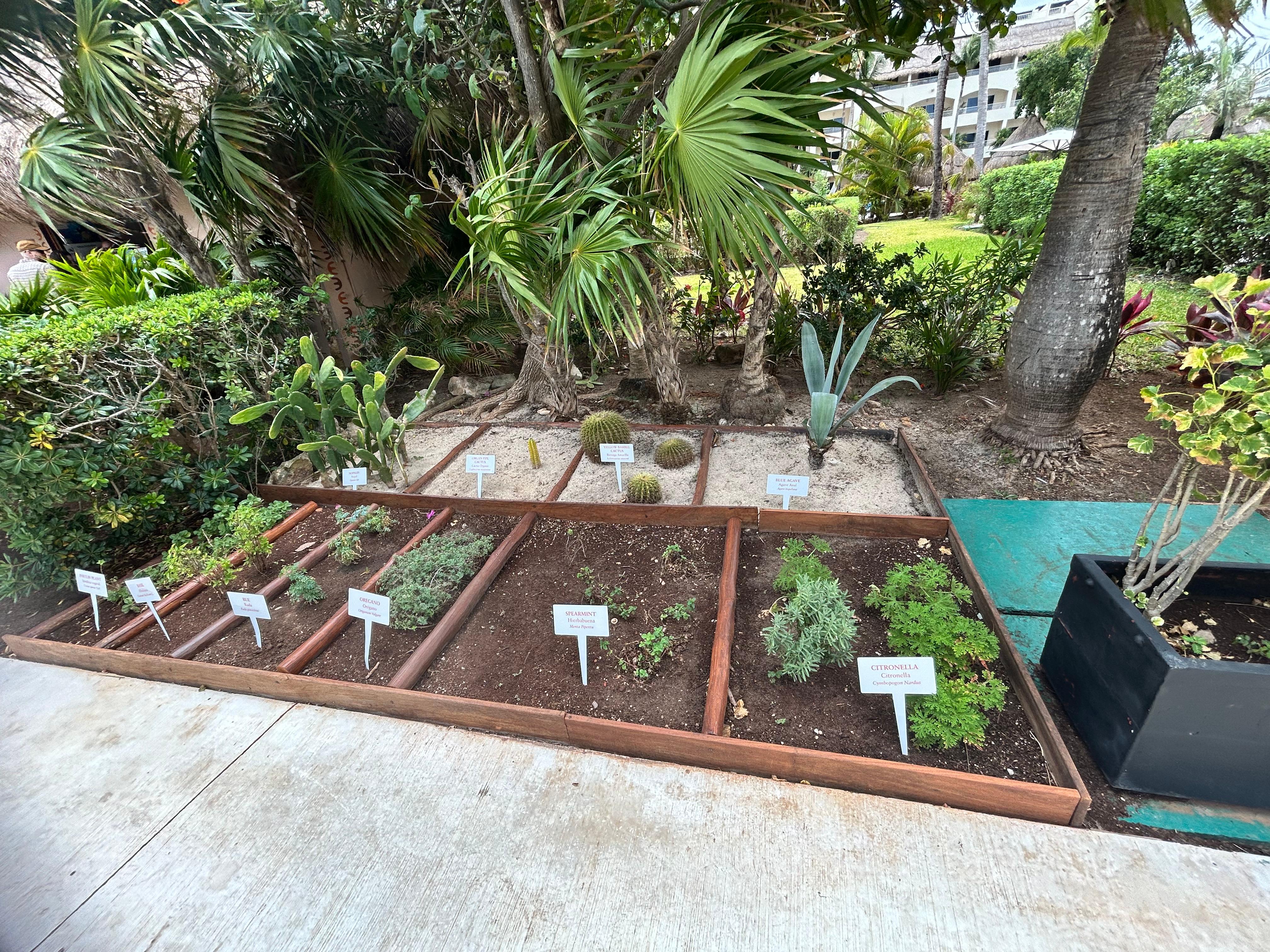 I love the herbs grown right on property. 