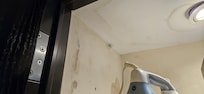 Mold