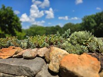In love with all the succulents that were there!