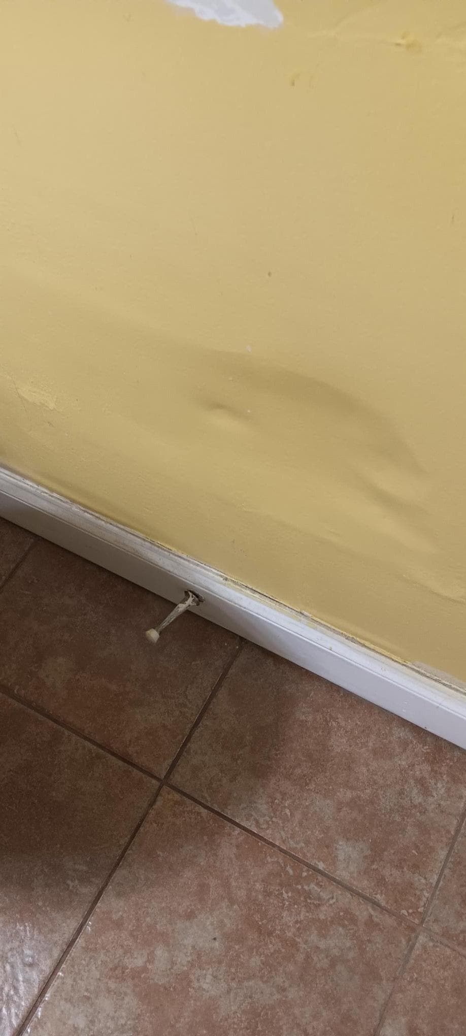 Bathroom door stop and wall