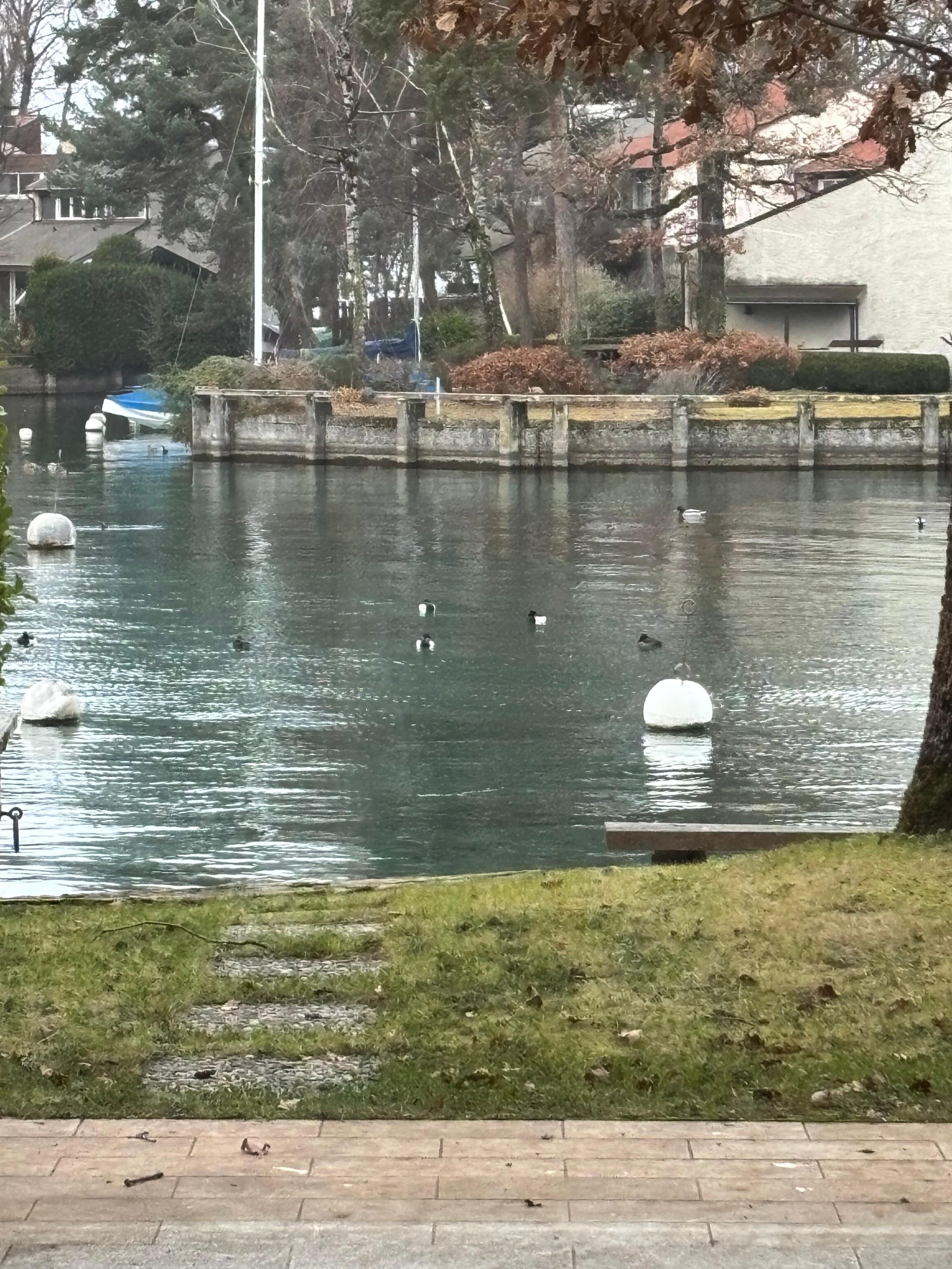 La vue en arrivant dans le logement 