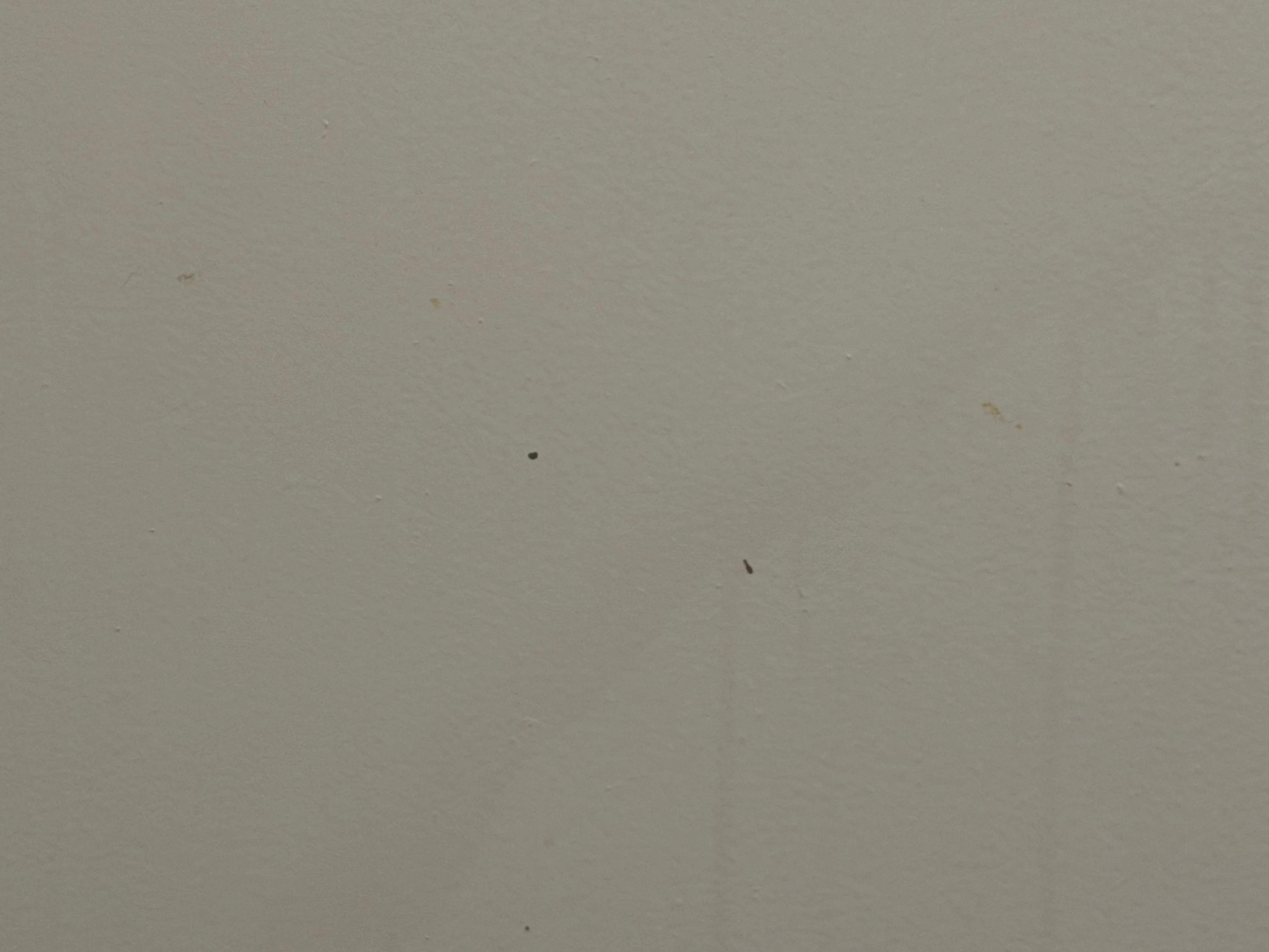 Unremovable dirt splatter on the wall