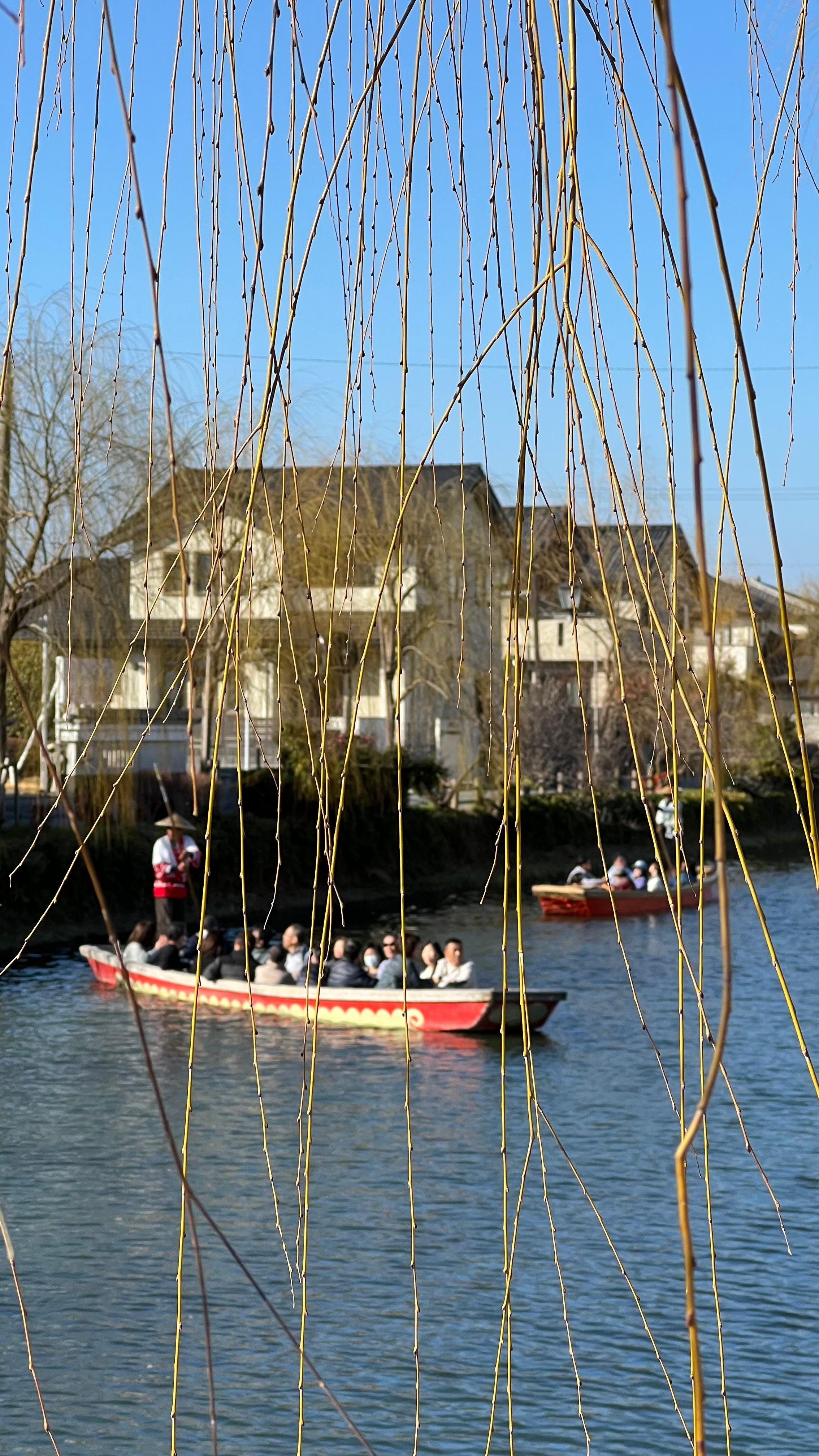 Boat ride on the Yanagawa River. Skipper sings Japanese songs 