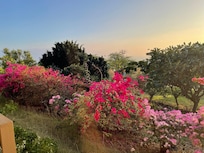 View from your porch.