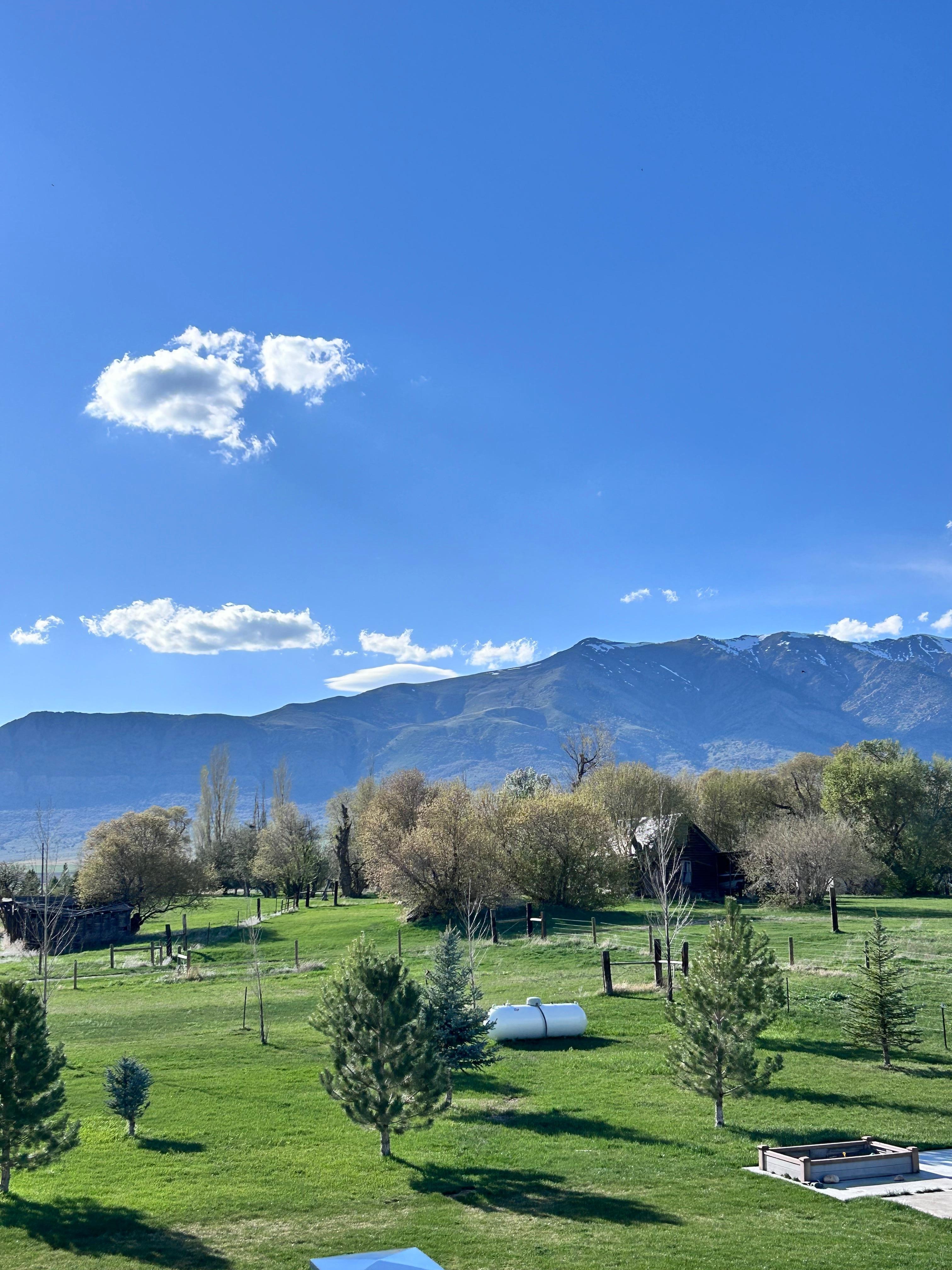 View from the balcony