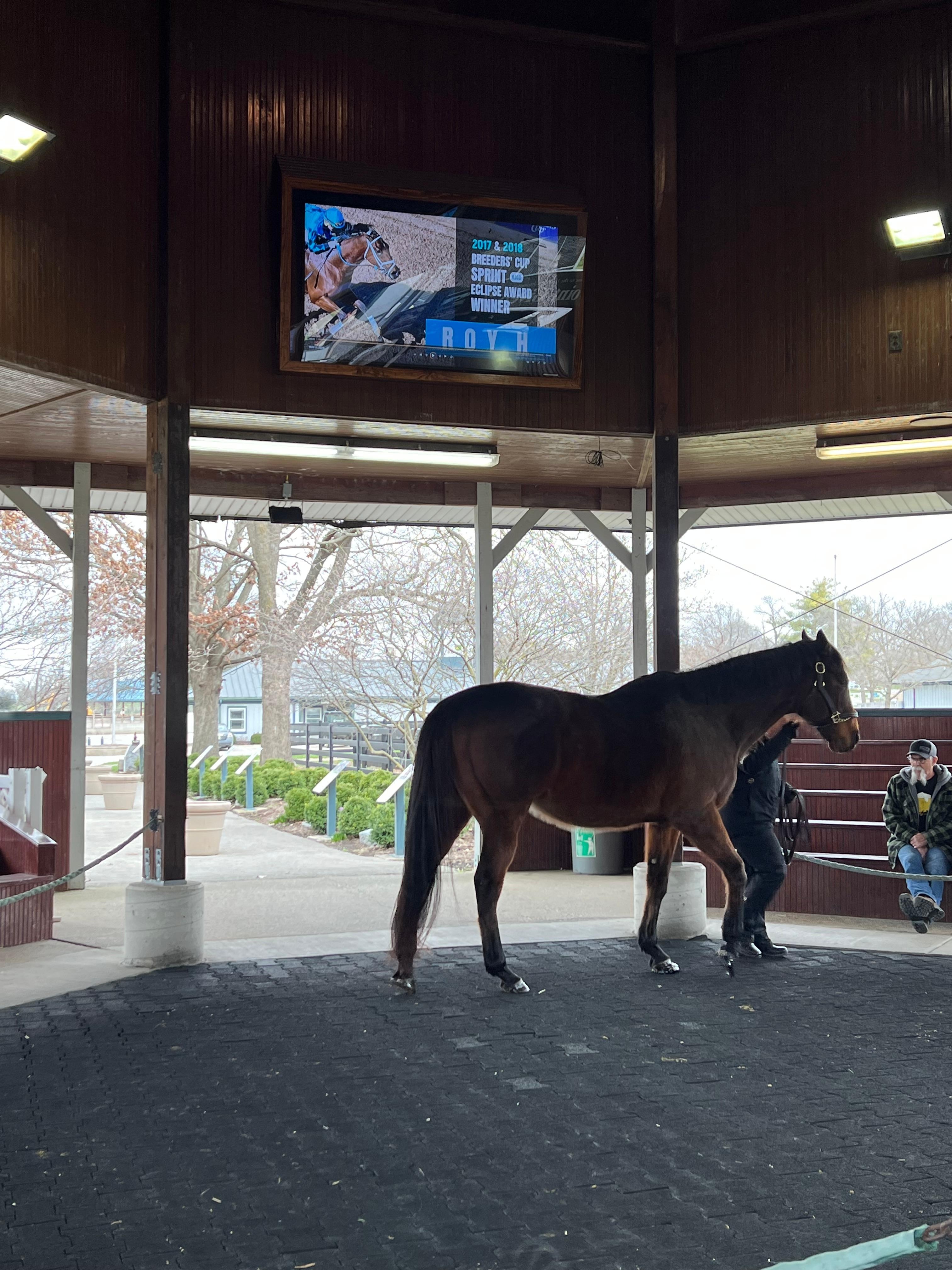 We also visited the Lexington Horse Park where they have the Triple Crown winner horses are!
